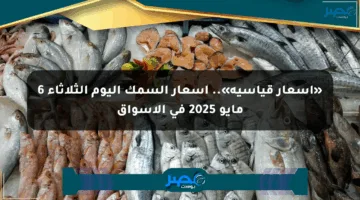 «أسعار قياسية».. أسعار السمك اليوم الثلاثاء 6 مايو 2025 في الأسواق